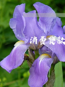消费贷款逾期是什么意思 消费贷款逾期是什么意思
