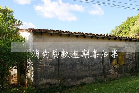 消费贷款逾期案后果 消费贷款逾期案后果