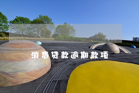 消费贷款逾期款项 消费贷款逾期款项