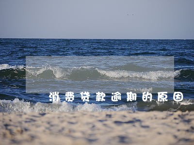 消费贷款逾期的原因 消费贷款逾期的原因