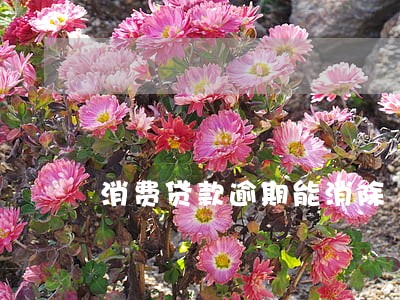 消费贷款逾期能消除 消费贷款逾期能消除
