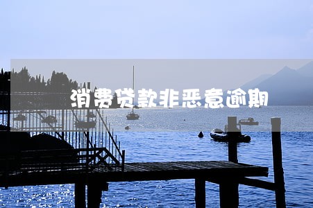消费贷款非恶意逾期