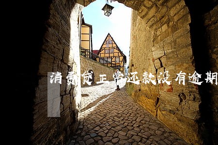 消费贷正常还款没有逾期影响 消费贷正常还款没有逾期影响