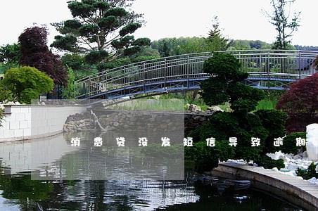 消费贷没发短信导致逾期 消费贷没发短信导致逾期