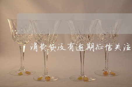 消费贷没有逾期征信关注