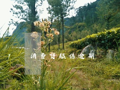 消费贷短信逾期 消费贷短信逾期
