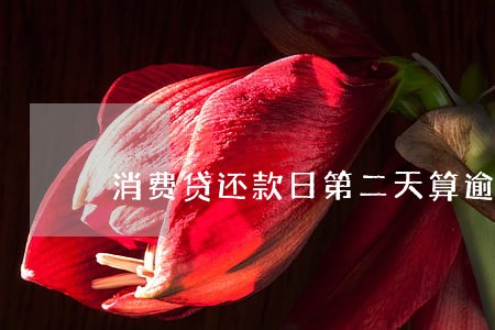 消费贷还款日第二天算逾期吗