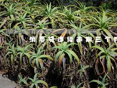 消费贷连续逾期三个月 消费贷连续逾期三个月