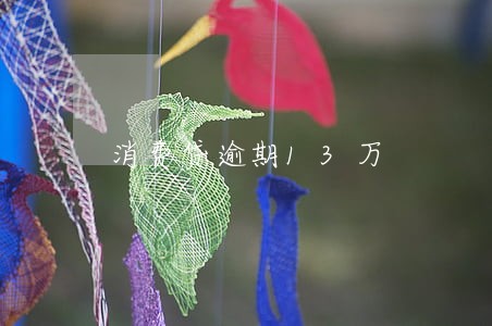 消费贷逾期13万 消费贷逾期13万