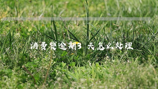 消费贷逾期3天怎么处理 消费贷逾期3天怎么处理