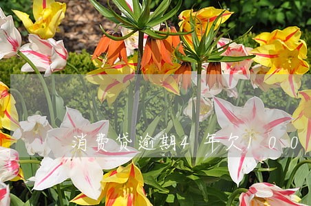 消费贷逾期4年欠1000 消费贷逾期4年欠1000