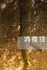 消费贷逾期5天还款