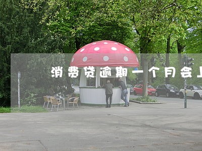 消费贷逾期一个月会上征信吗 消费贷逾期一个月会上征信吗