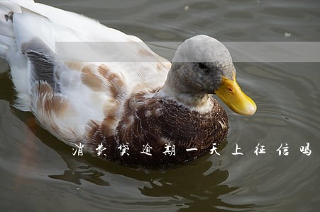 消费贷逾期一天上征信吗 消费贷逾期一天上征信吗