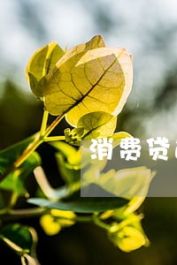 消费贷逾期一年了怎么还不进去 消费贷逾期一年了怎么还不进去