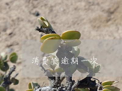 消费贷逾期一次 消费贷逾期一次