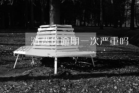 消费贷逾期一次严重吗 消费贷逾期一次严重吗