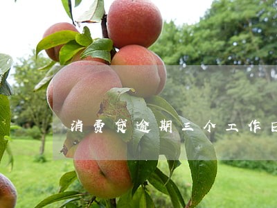 消费贷逾期三个工作日 消费贷逾期三个工作日
