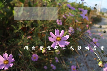 消费贷逾期三次影响房贷吗 消费贷逾期三次影响房贷吗