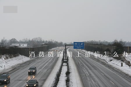 消费贷逾期上征信怎么办 消费贷逾期上征信怎么办