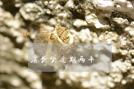 消费贷逾期两年 消费贷逾期两年