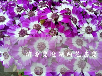 消费贷逾期两笔房贷 消费贷逾期两笔房贷
