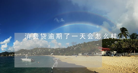 消费贷逾期了一天会怎么样 消费贷逾期了一天会怎么样