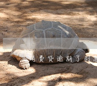 消费贷逾期了利息很高违法吗 消费贷逾期了利息很高违法吗