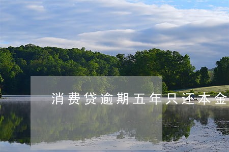 消费贷逾期五年只还本金行吗 消费贷逾期五年只还本金行吗