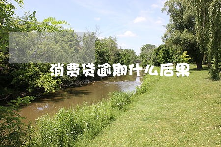 消费贷逾期什么后果