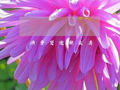 消费贷逾期卖房