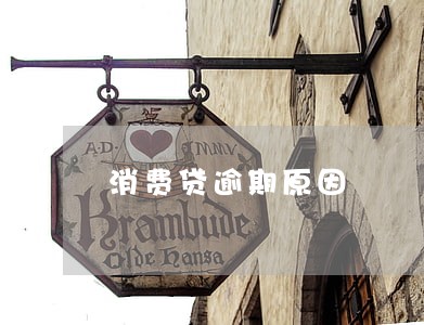 消费贷逾期原因