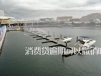 消费贷逾期可以撤销吗