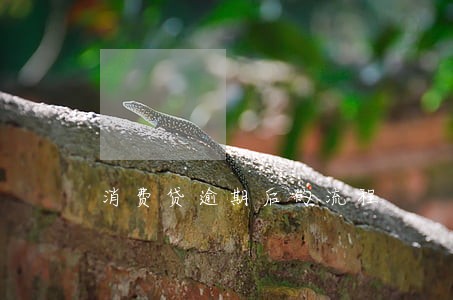 消费贷逾期后的流程