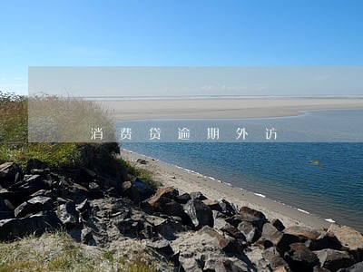 消费贷逾期外访