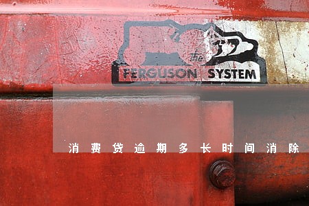 消费贷逾期多长时间消除
