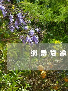 消费贷逾期影响买房吗