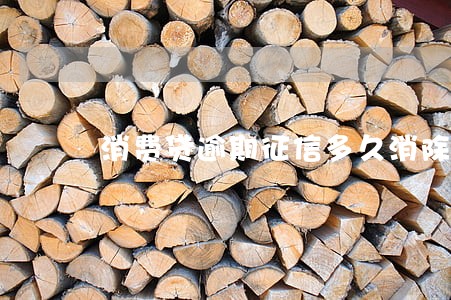 消费贷逾期征信多久消除 消费贷逾期征信多久消除
