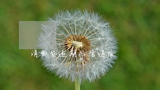 消费贷逾期征信消除 消费贷逾期征信消除