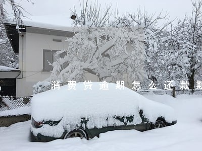 消费贷逾期怎么还款期限 消费贷逾期怎么还款期限