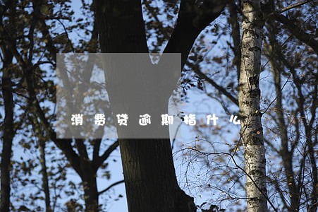 消费贷逾期指什么 消费贷逾期指什么