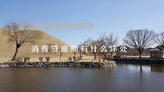 消费贷逾期有什么坏处 消费贷逾期有什么坏处