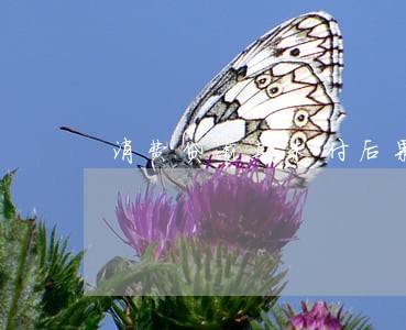 消费贷逾期未付后果