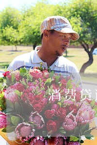 消费贷逾期案件