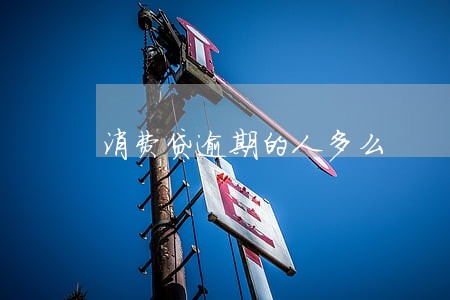 消费贷逾期的人多么 消费贷逾期的人多么