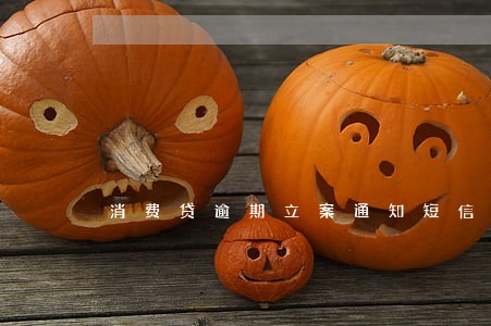消费贷逾期立案通知短信 消费贷逾期立案通知短信