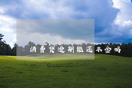 消费贷逾期能还本金吗
