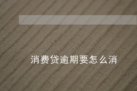 消费贷逾期要怎么消