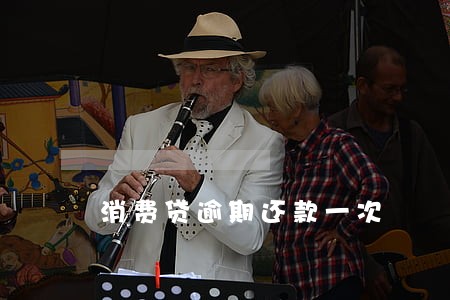 消费贷逾期还款一次 消费贷逾期还款一次
