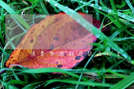 消费贷逾期还款违约金 消费贷逾期还款违约金